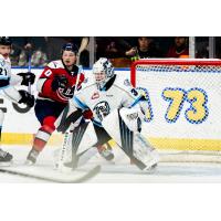 Winnipeg ICE goaltender Daniel Hauser