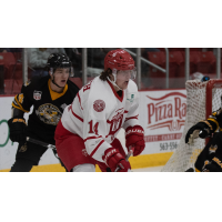 Dubuque Fighting Saints forward Connor Kurth