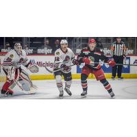 Grand Rapids Griffins vs. the Rockford IceHogs