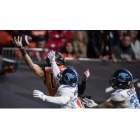 Toronto Argonauts battle the B.C. Lions