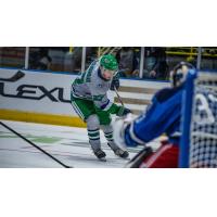 Forward Austin McIlmurray with the Florida Everblades