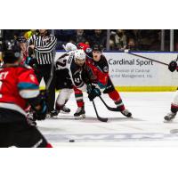 Vancouver Giants centre Justin Sourdif (left) faces off with the Kelowna Rockets