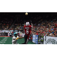 Jacksonville Sharks WR/DB Kamrin Solomon
