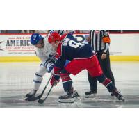 Ryan Lohin of the Allen Americans in the faceoff circle