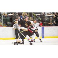Adirondack Thunder battle the Newfoundland Growlers