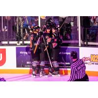 Knoxville Ice Bears celebrate a goal