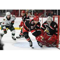 Grand Rapids Griffins defenseman Donovan Sebrango and goaltender Calvin Pickard vs. the Iowa Wild