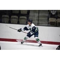 North Iowa Bulls forward Carter Rapalje