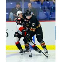 Vancouver Giants left wing Adam Hall vs. the Prince George Cougars