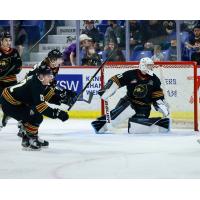 Vancouver Giants goaltender Will Gurski watches the puck