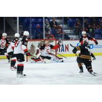Prince George Cougars goaltender Tyler Brennan reaches for a shot against the Vancouver Giants