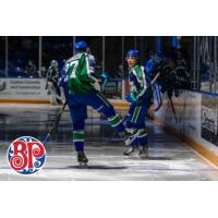Swift Current Broncos celebrate a goal