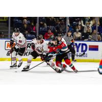 Kelowna Rockets right wing Steel Quiring (12) vs. the Portland Winterhawks