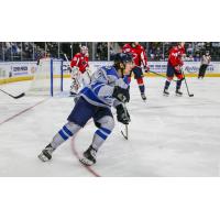 Jacksonville IceMen forward Ara Nazarian