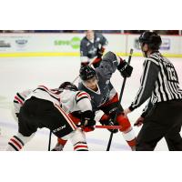 Vancouver Giants centre Ty Halaburda (center) faces off with the Portland Winterhawks