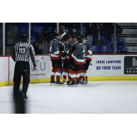 Vancouver Giants celebrate a goal vs. the Portland Winterhawks