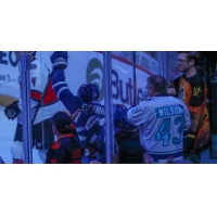 Wichita Thunder celebrate a goal