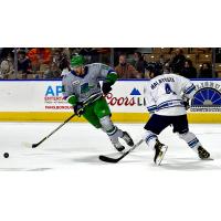 Florida Everblades forward Dylan Vander Esch eyes the puck
