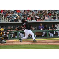 Albuquerque Isotopes outfielder Ryan Vilade