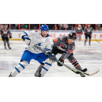Wichita Thunder battle the Kansas City Mavericks