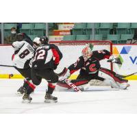 Prince George Cougars goaltender Tyler Brennan makes a save against the Vancouver Giants