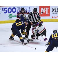 Reading Royals face off with the Norfolk Admirals