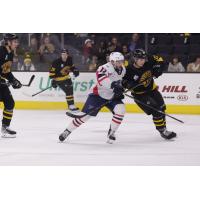 Springfield Thunderbirds left wing Nathan Walker (left) vs. the Providence Bruins