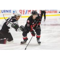 Prince George Cougars right wing Caden Brown vs. the Vancouver Giants