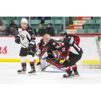 Vancouver Giants left wing Adam Hall set up in front of the Prince George Cougars net