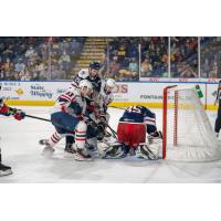 Springfield Thunderbirds crash the Hartford Wolf Pack net