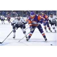 Jacksonville IceMen take on the Orlando Solar Bears