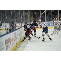 Springfield Thunderbirds and Hartford Wolf Pack eye a loose puck