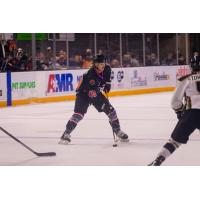Knoxville Ice Bears right wing Andrew Bellant