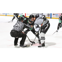Binghamton Black Bears face off with the Delaware Thunder