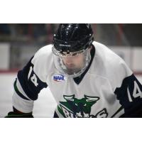 North Iowa Bulls forward Justin Mexico