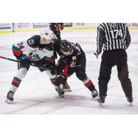 Kelowna Rockets centre Dylan Wightman (left) faces off with the Prince George Cougars