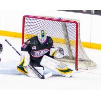 Knoxville Ice Bears goaltender Kristian Stead