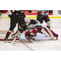 Kelowna Rockets goaltender Colby Knight reaches for a puck against the Prince George Cougars