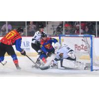 Adirondack Thunder forwards Alexandre Carrier (left) and Ryan Smith vs. the Utah Grizzlies