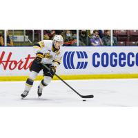Sarnia Sting defenceman Cameron Supryka