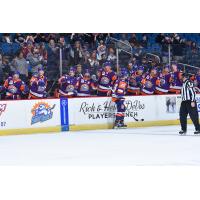 Orlando Solar Bears give high fives along the bench