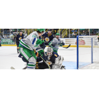 Florida Everblades battle the Norfolk Admirals