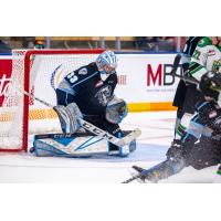 Winnipeg ICE goaltender Gage Alexander