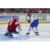 Allen Americans goaltender Antoine Bibeau