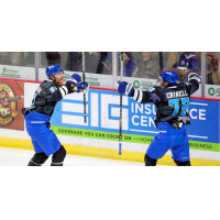 Wichita Thunder celebrate a goal
