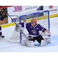 Reading Royals goaltender Kirill Ustimenko
