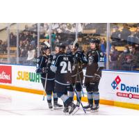 Winnipeg ICE celebrate a goal