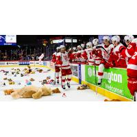 Grand Rapids Griffins annual Teddy Bear Toss