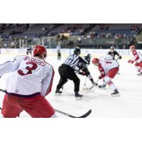 Allen Americans in action