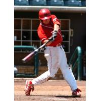 Jordan Pacheco at bat for the University of New Mexico
